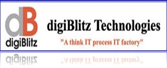 Digiblitz Technologies