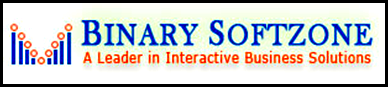 Binary Softzone Noida Logo