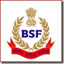 BSF Logo _ border Security Force