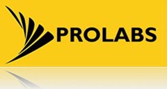Prolab Soft Chennai Logo