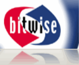 bitwise solutions